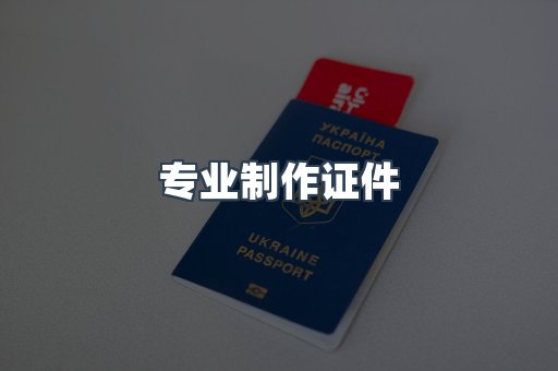 专业制作证件